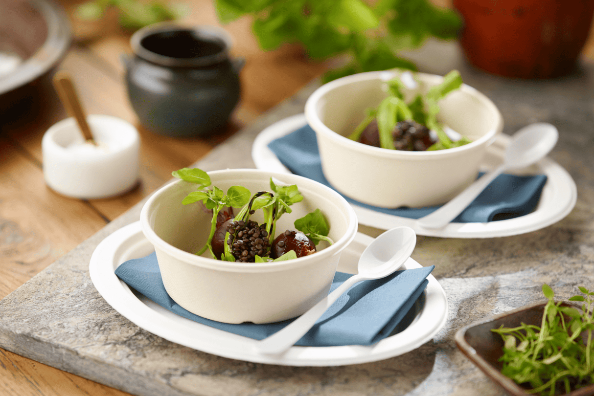 Bagasse Salatschale 900ml Verpackung2Go