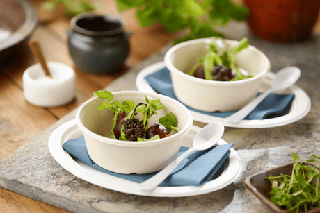 Bagasse Salatschale 1000ml Verpackung2Go
