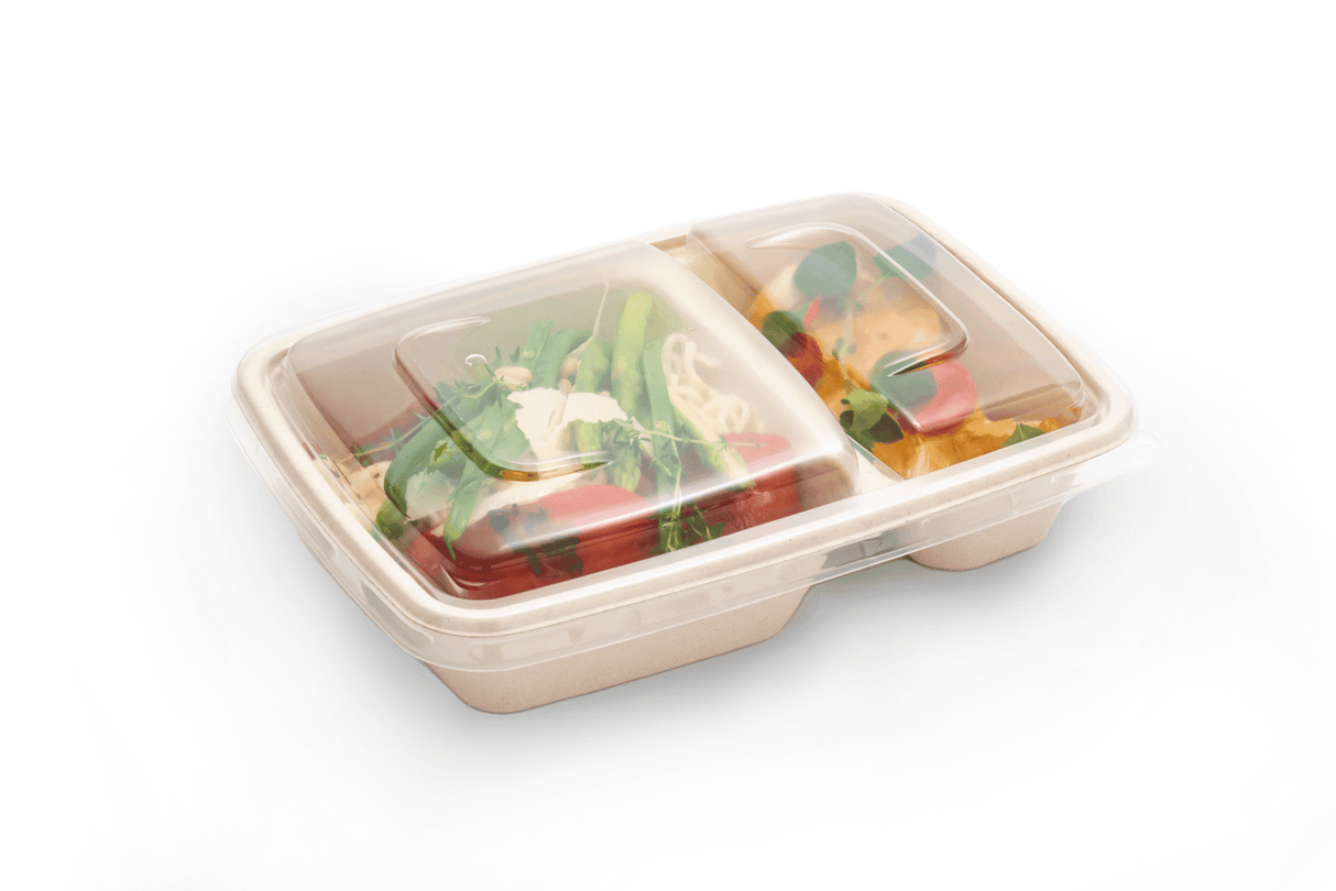 Verpackung2GoPP Deckel für BePulp Menüschale mit zwei Fächern
