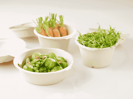 Bagasse Snackbox 575ml von Duni Verpackung2Go