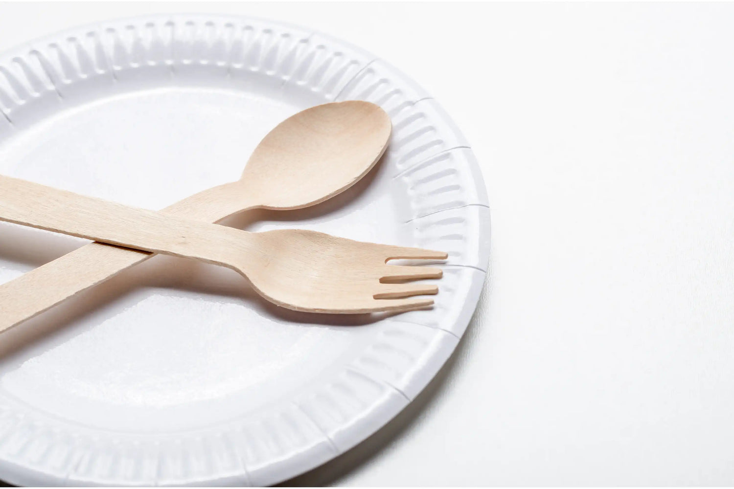 Pappteller rund weiß - Verpackung2Go