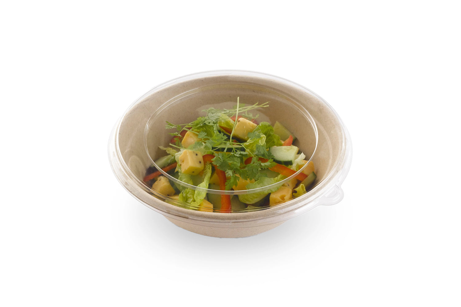 Deckel für PULP Salatschale 1000ml Verpackung2Go