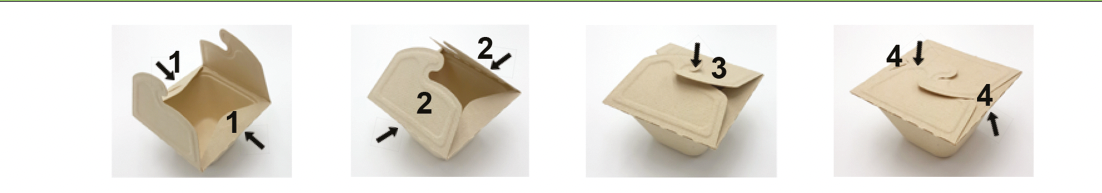 Verpackung2GoMeal Box To Go 500 ml